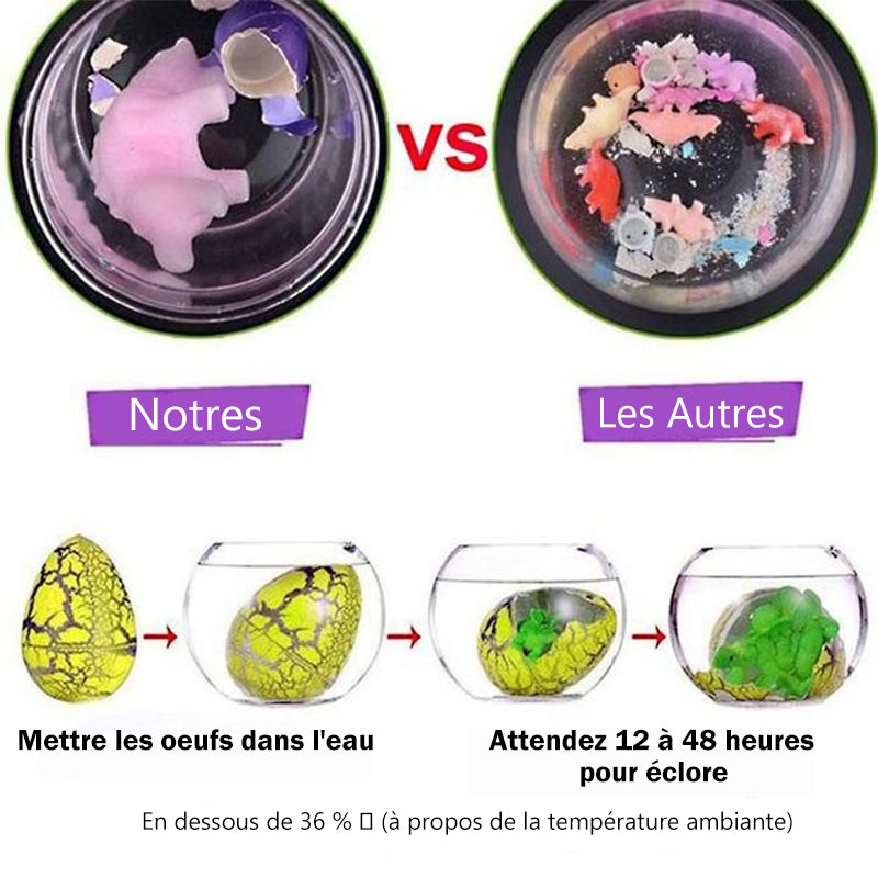 NURCHUMS – Œuf De Dinosaure Stégosaure Violet – Qui Éclot Et Grandit Dans L’Eau