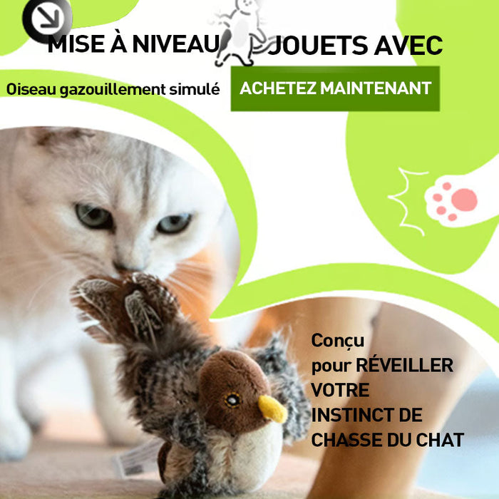 Jouets pour animaux de compagnie simulés par des oiseaux