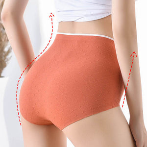 Slip coton antibactérien de taille haute