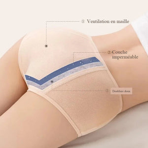 Slip coton antibactérien de taille haute