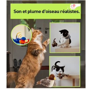 Jouets pour animaux de compagnie simulés par des oiseaux