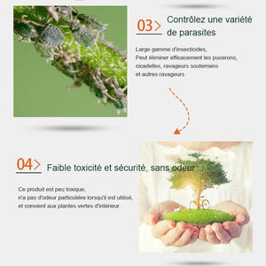 Granules insecticides pour plantes