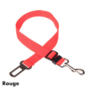 Ceinture de sécurité réglable pour chien et chat Harnais