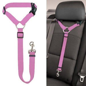 Ceinture de sécurité pour chien dans voiture