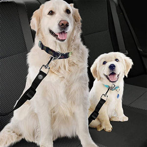 Ceinture de sécurité réglable pour chien et chat Harnais