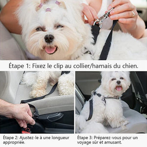 Ceinture de sécurité réglable pour chien et chat Harnais