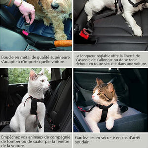 Ceinture de sécurité réglable pour chien et chat Harnais