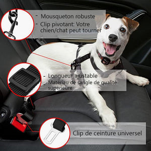 Ceinture de sécurité réglable pour chien et chat Harnais