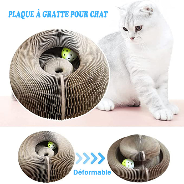 Carton à gratter pour chat Pliable