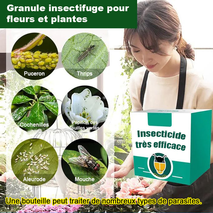 Granules insecticides pour plantes