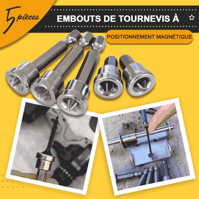 Embout de tournevis à positionnement magnétique (5 pièces)