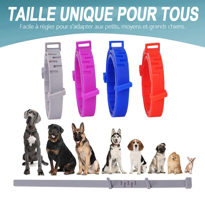 Collier anti-puces pour chats et chiens