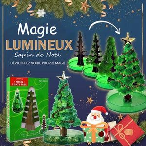 Sapin de Noël de croissance magique