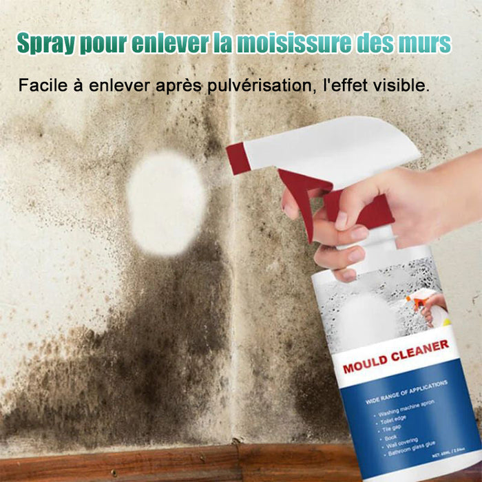 Spray pour éliminer les moisissures des murs