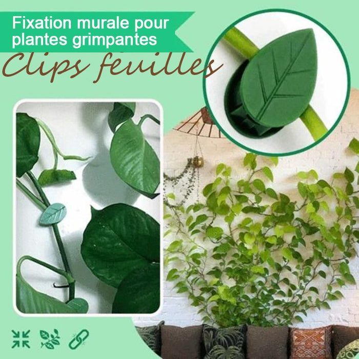 Clips de fixation murale pour plantes grimpantes Feuilles