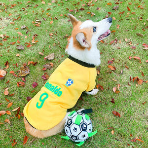 Vêtement pour animaux domestiques Coupe du monde