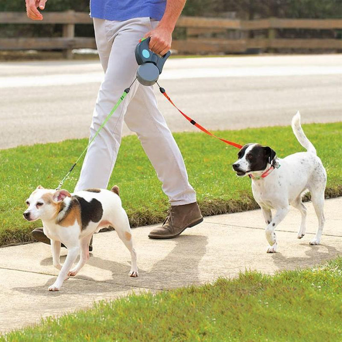 Laisse de Chien Pour Deux