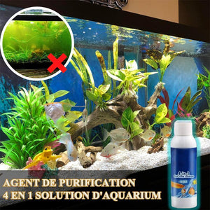 Agent de purification- 4 en 1 Solution d'aquarium