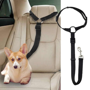 Ceinture de sécurité pour chien dans voiture