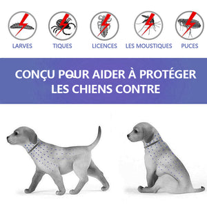 Collier anti-puces pour chats et chiens