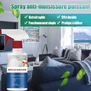 Spray pour éliminer les moisissures des murs