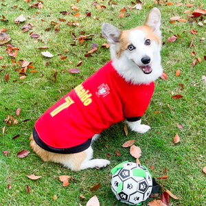 Vêtement pour animaux domestiques Coupe du monde