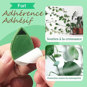 Clips de fixation murale pour plantes grimpantes Feuilles