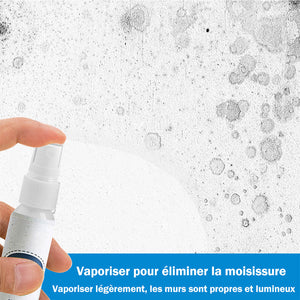 Nettoyant contre la moisissure des murs multifonctionnel