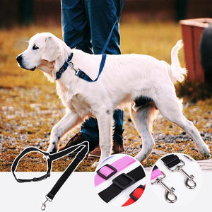 Ceinture de sécurité pour chien dans voiture