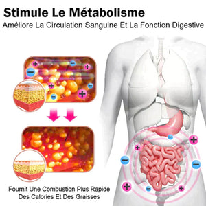 Culotte galbante en soie de glace fibre d'ions