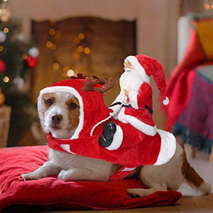 Costume de chien Vêtements de Noël pour animaux