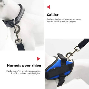 Ceinture de sécurité réglable pour chien et chat Harnais