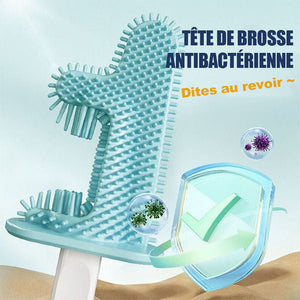 Brosse de toilette Cactus Pas d'espace mort