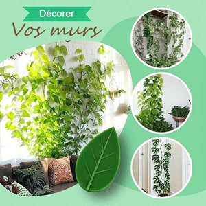 Clips de fixation murale pour plantes grimpantes Feuilles