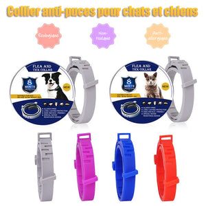 Collier anti-puces pour chats et chiens