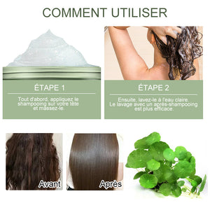 Shampooing au sel de mer Centella Asiatica