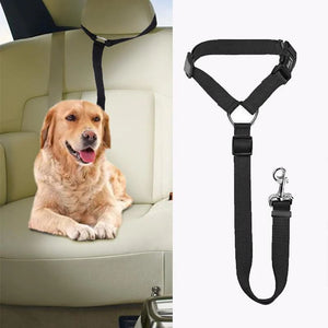 Ceinture de sécurité pour chien dans voiture