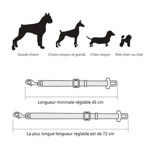 Ceinture de sécurité réglable pour chien et chat Harnais