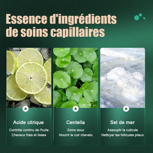 Shampooing Purifiant de Centella Asiatica