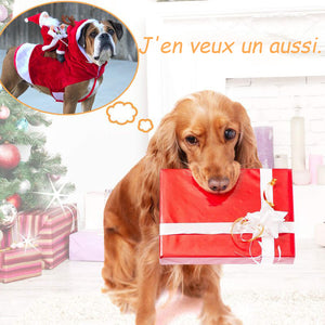 Costume de chien Vêtements de Noël pour animaux