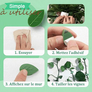 Clips de fixation murale pour plantes grimpantes Feuilles