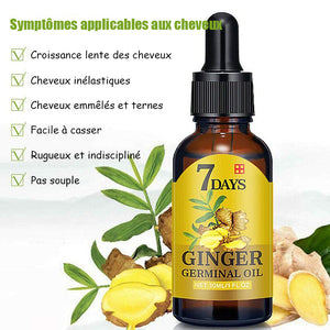 Huile germinale de gingembre pour la repousse des cheveux--Achetez 1 et obtenez 1 gratuit (2 pièces)