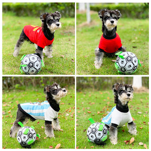 Vêtement pour animaux domestiques Coupe du monde