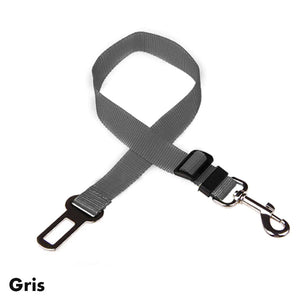 Ceinture de sécurité réglable pour chien et chat Harnais