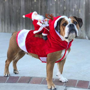 Costume de chien Vêtements de Noël pour animaux