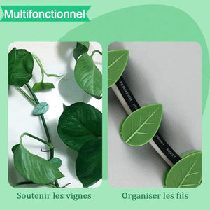 Clips de fixation murale pour plantes grimpantes Feuilles