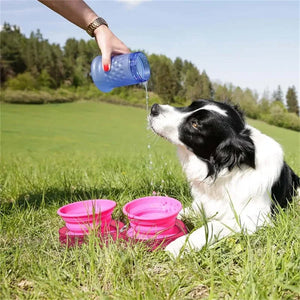 Bol pliable en silicone voyage pour animaux