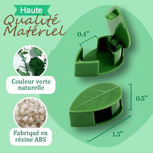 Clips de fixation murale pour plantes grimpantes Feuilles