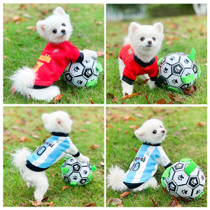 Vêtement pour animaux domestiques Coupe du monde
