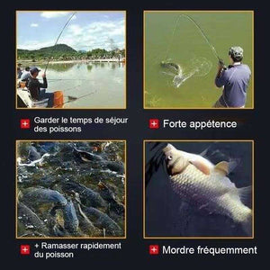 Attractif pour poisson- Pour tous les types de poissons